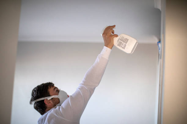 Best Mold Remediation  in St James, NC