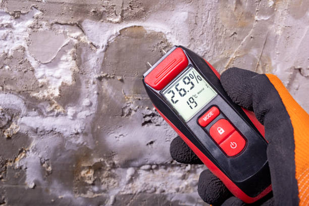 Best Office Mold Removal Services  in St James, NC