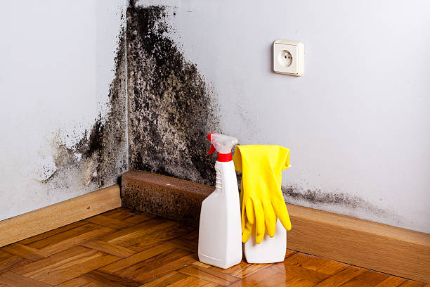 Best Crawl Space Mold Removal  in St James, NC